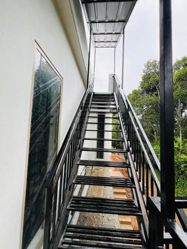 Willow Nest in Ellackal Willow Nest in Ellackal