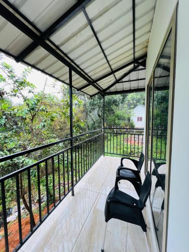 Willow Nest in Ellackal Willow Nest in Ellackal