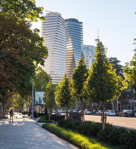 Vake Park water is working