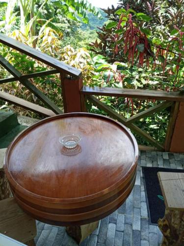 Berkey's Jungle Paradise Resort in Saint George Berkey's Jungle Paradise Resort in Saint George