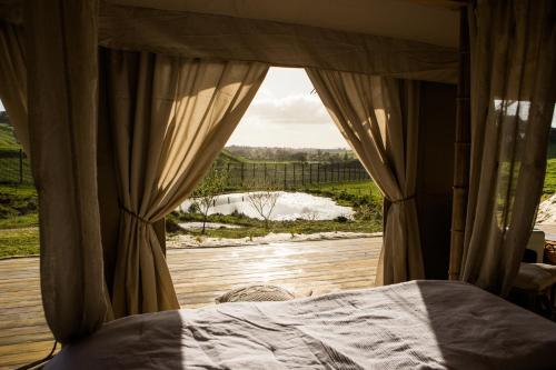 View, Orchard Valley Glamping in Otorohanga View, Orchard Valley Glamping in Otorohanga