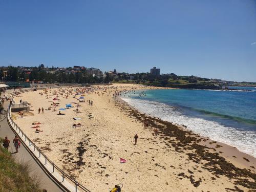 Beach, PodBed Coogee Beachside in Coogee Beach Beach, PodBed Coogee Beachside in Coogee Beach