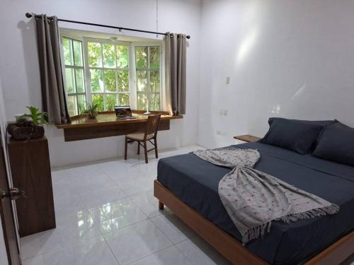 Estudio en el corazon de Cancun