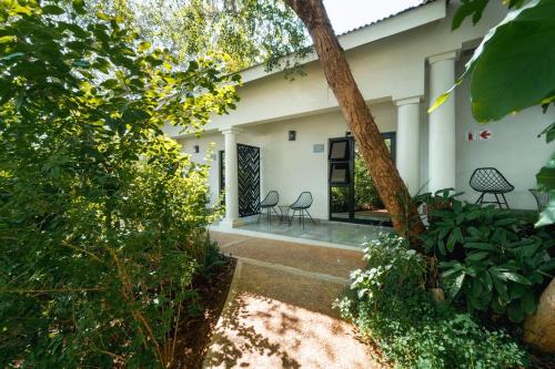 Garden, Nkosi Guest Lodge in Victoria Falls Garden, Nkosi Guest Lodge in Victoria Falls