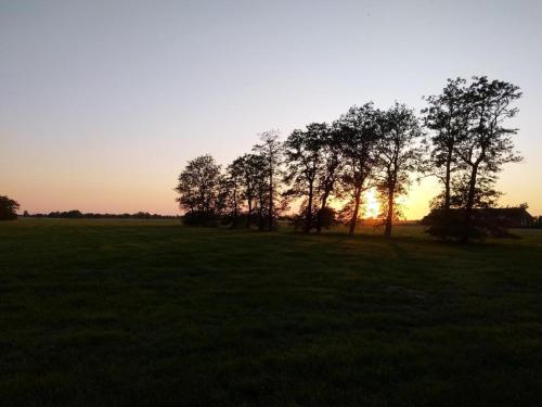 Sterrenzicht BB Weidszicht in Lutjegast Sterrenzicht BB Weidszicht in Lutjegast