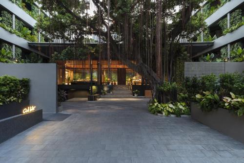 アド リブ バンコク12