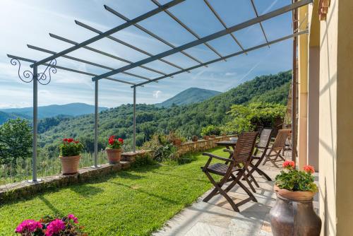 Villa Porcigliano Olive Grove