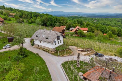 נוף חוץ, Vineyard Homestead Vrtin - Happy Rentals in דולנסקה טופליצ'ה נוף חוץ, Vineyard Homestead Vrtin - Happy Rentals in דולנסקה טופליצ'ה
