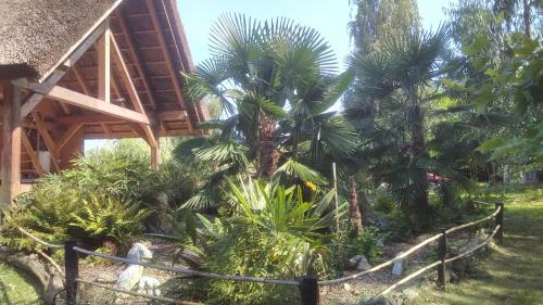 Kert, Glamping for couples in tent, Camp Eucalyptus Slovenia in Dobova Kert, Glamping for couples in tent, Camp Eucalyptus Slovenia in Dobova