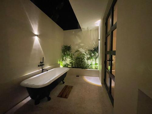 Meraki in Matara Meraki in Matara