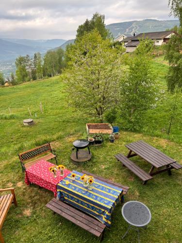 View, Asgardane Gjestegard in Gol View, Asgardane Gjestegard in Gol