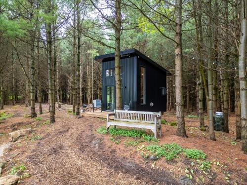 Little Cabin in the Pines in Owen Sound Little Cabin in the Pines in Owen Sound