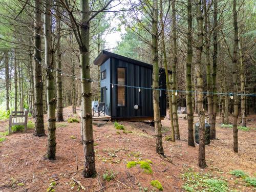 Little Cabin in the Pines in Owen Sound Little Cabin in the Pines in Owen Sound
