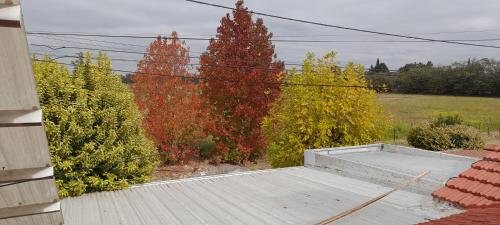 Depa del Sur in Gral. Alvarado Depa del Sur in Gral. Alvarado