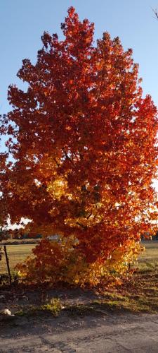 Depa del Sur in Gral. Alvarado Depa del Sur in Gral. Alvarado