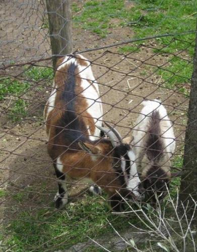 La Fattoria La Cacciata
La Fattoria La Cacciata