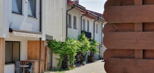 設施, Guboja in 內林加 設施, Guboja in 內林加