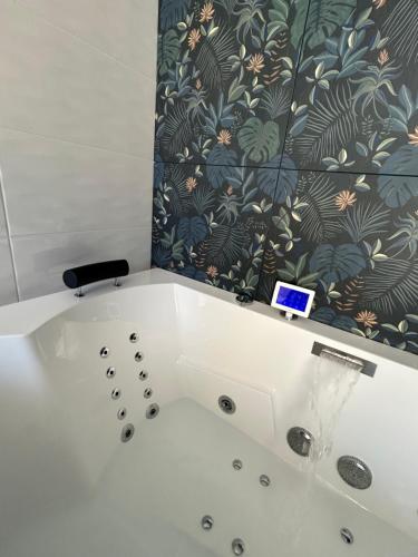 جاكوزي, Appartement ESCAPADE BIEN ETRE & DECONNEXION in Saint-Felix Lauragais جاكوزي, Appartement ESCAPADE BIEN ETRE & DECONNEXION in Saint-Felix Lauragais