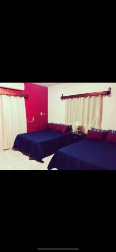 Casa La Prieta Linda in 塔馬索波 Casa La Prieta Linda in 塔馬索波