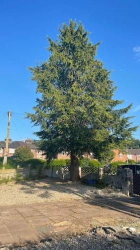 Cheerful 3 bed entire house, newly refurbished in Manchester Cheerful 3 bed entire house, newly refurbished in Manchester