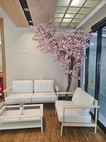 Empfangshalle, Shi-ro-i Poshtel in Hat Yai Empfangshalle, Shi-ro-i Poshtel in Hat Yai