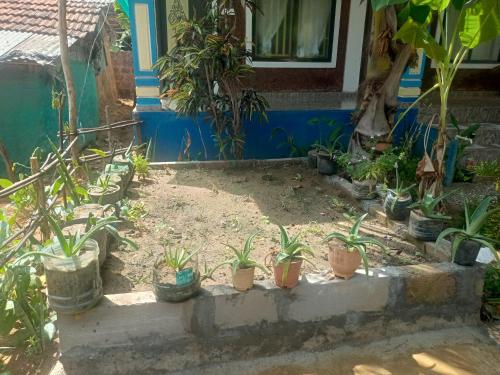 花園, Gangotri Cafe and Rooms in Gokarna Kudle Beach 花園, Gangotri Cafe and Rooms in Gokarna Kudle Beach