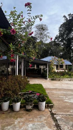 Lara Homestay in Byadane Lara Homestay in Byadane