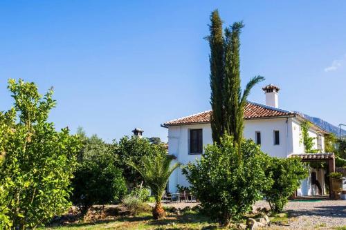 Cortijo Grazalema piscina 5 Hbts con bano AC in Grazalema Cortijo Grazalema piscina 5 Hbts con bano AC in Grazalema