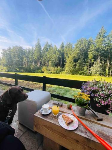 Magical Cottage in the woods in Baarn Magical Cottage in the woods in Baarn