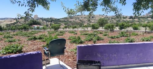 Jerash mountain studio chalet شاليه جبال جرش و عجلون in جرش Jerash mountain studio chalet شاليه جبال جرش و عجلون in جرش