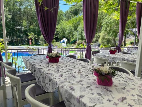 Парк-хотел РИВА in Golden Sands Парк-хотел РИВА in Golden Sands