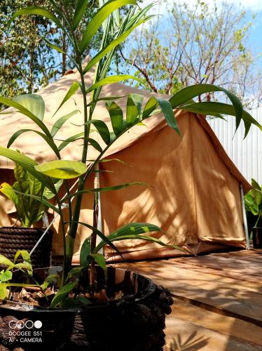Cozumel Glamping in Cozumel Waterfront Cozumel Glamping in Cozumel Waterfront