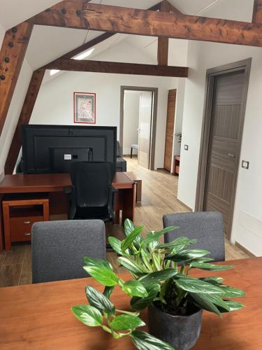 Freshly renovated cosy apartment in Rozenprieel Freshly renovated cosy apartment in Rozenprieel