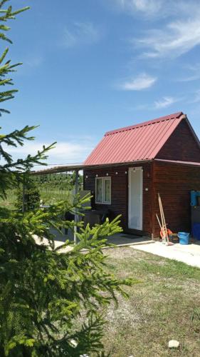 Tekhura guest house in Senaki Tekhura guest house in Senaki