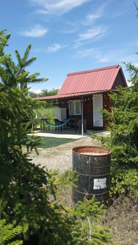 Tekhura guest house in Senaki Tekhura guest house in Senaki