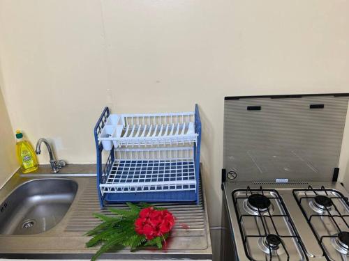 Studio Vanira, Tahaa, Haamene in Tahaa Studio Vanira, Tahaa, Haamene in Tahaa