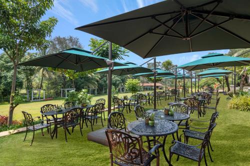 Facilities, Big Banyan Vineyard & Resort in Shivajinagar Facilities, Big Banyan Vineyard & Resort in Shivajinagar