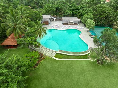 Swimming pool, Big Banyan Vineyard & Resort in Shivajinagar Swimming pool, Big Banyan Vineyard & Resort in Shivajinagar