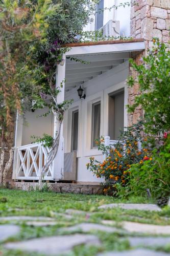 فندق وأجنحة موون شاين (Moonshine Hotel & Suites) in تيبيك فندق وأجنحة موون شاين (Moonshine Hotel & Suites) in تيبيك