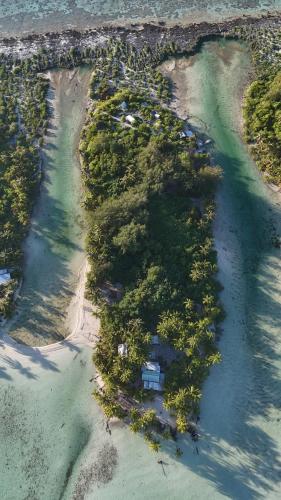 Заобикаляща среда, ALAROOTS BORA BORA CAMP in Остров Бора Бора Заобикаляща среда, ALAROOTS BORA BORA CAMP in Остров Бора Бора