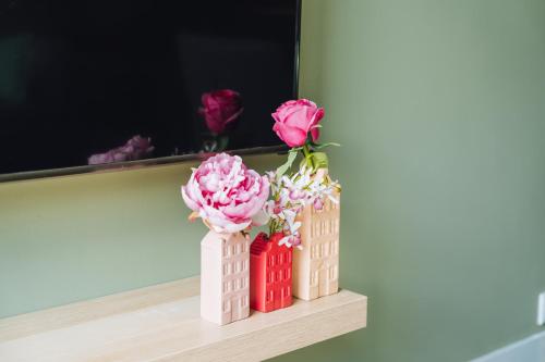 Sfeervol luxe appartement B&B Haarlemmerhout bij Haarlem Centrum en Amsterdam - gratis parkeren in Den Hout Sfeervol luxe appartement B&B Haarlemmerhout bij Haarlem Centrum en Amsterdam - gratis parkeren in Den Hout