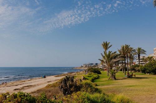 Strand, Red Sea Rent Home La veleta Torrevieja ALICANTE in Punta Prima Strand, Red Sea Rent Home La veleta Torrevieja ALICANTE in Punta Prima