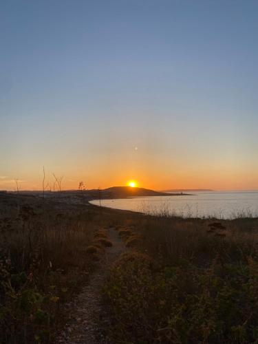 Pembroke Suites in Pembroke Pembroke Suites in Pembroke