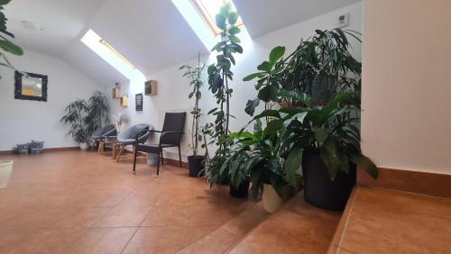 Фасада на хотела, Brne Rooms in Постойна Фасада на хотела, Brne Rooms in Постойна