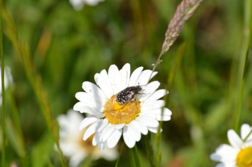 This photo about Wolf-Hof shared on HyHotel.com