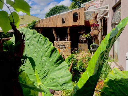 Вид, Ubuntu Backpackers in Мутаре Вид, Ubuntu Backpackers in Мутаре