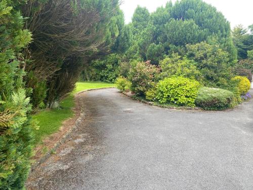 Palm Grove B&B in Cashel Palm Grove B&B in Cashel