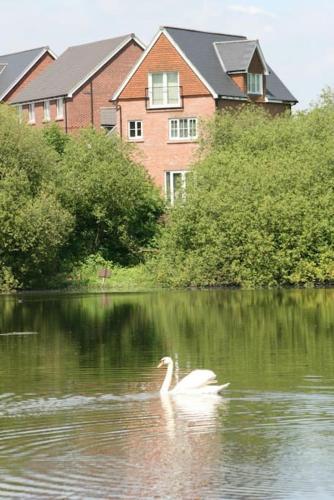 Kilátás, Stunning 5 Bedroom house with Beautiful Lake Views in Lymm Kilátás, Stunning 5 Bedroom house with Beautiful Lake Views in Lymm