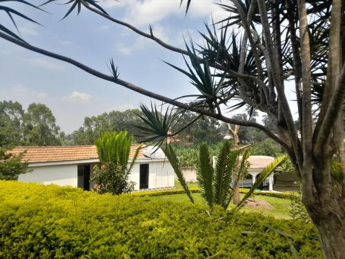 Išorė, Maasai Villa Backpackers Home in Portal fortas Išorė, Maasai Villa Backpackers Home in Portal fortas