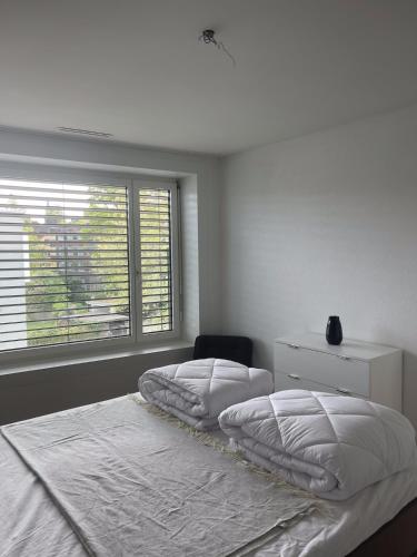 The R Apartment Bleiche - Central - Station in Schaffhausen The R Apartment Bleiche - Central - Station in Schaffhausen
